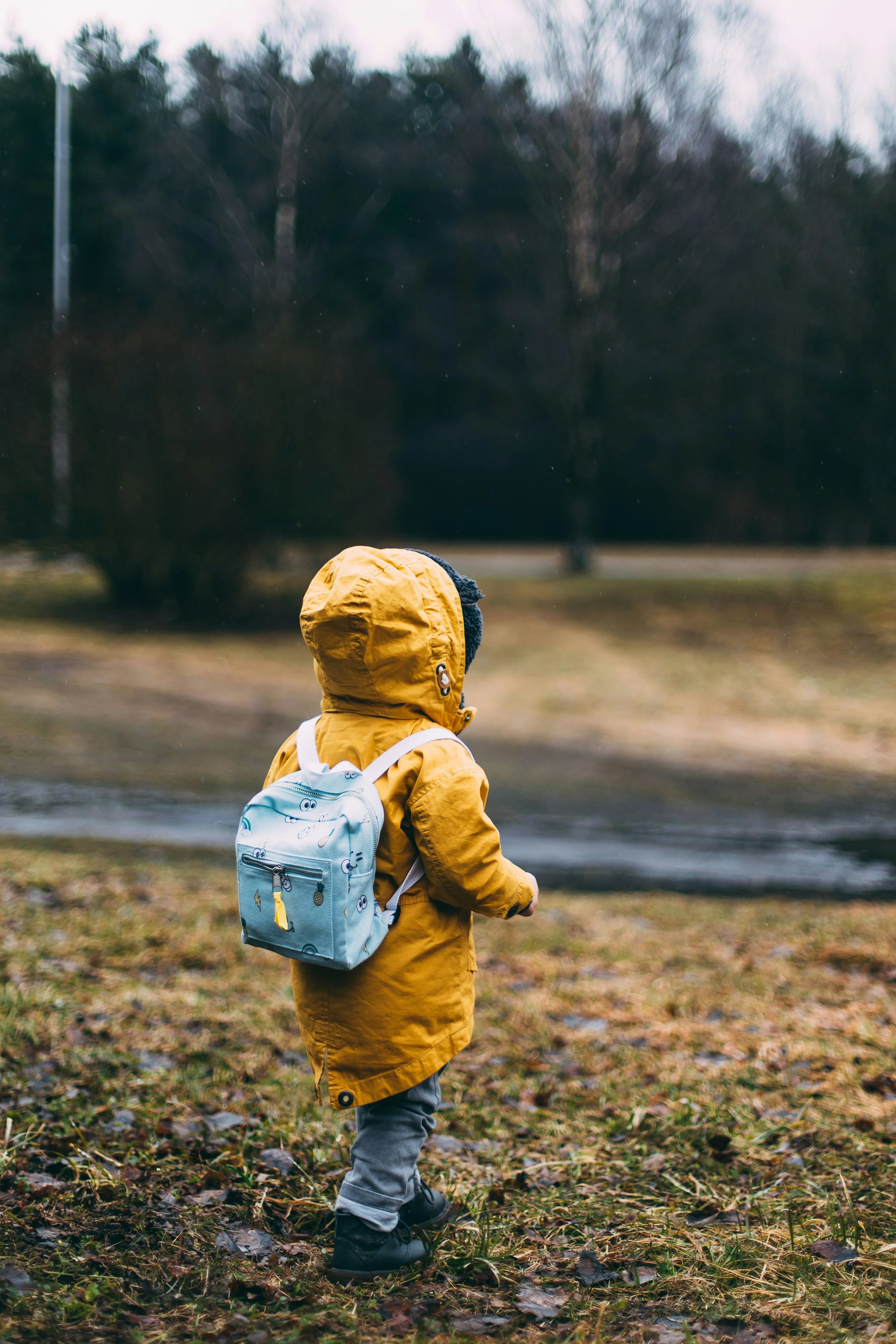 AI Child Custody Document Drafting